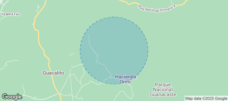 Discover La Cruz Airbnb Analytics